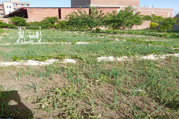 زمین مسکونی ۳۶۵ مترمربع در روستای قره چپق-1