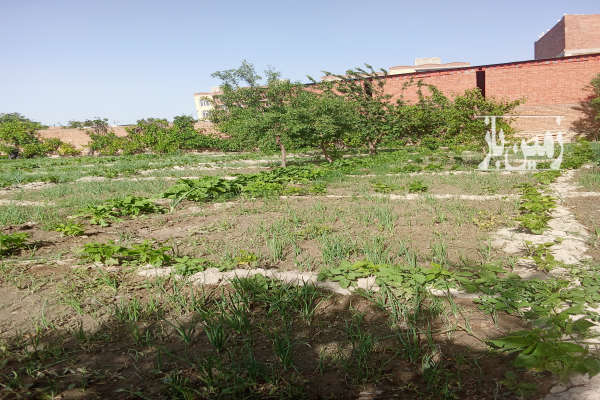 زمین مسکونی ۳۶۵ مترمربع در روستای قره چپق-3