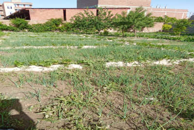 زمین مسکونی ۳۶۵ مترمربع در روستای قره چپق
