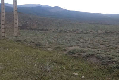 زمین در آقا شیخ نیکه تترستاق ۵۹۲ متر