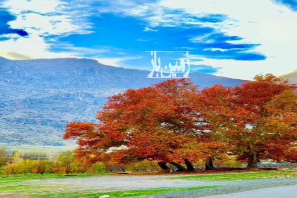 دو قطعه زمین کشاورزی ۴ هزار متر و ۱۰۰۰متر در روستای برناج-1