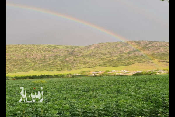 دو قطعه زمین کشاورزی ۴ هزار متر و ۱۰۰۰متر در روستای برناج-2