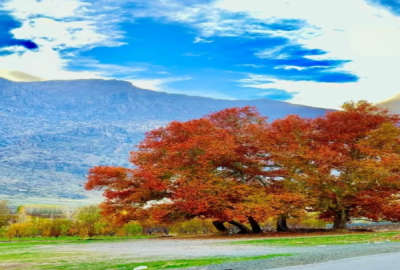 دو قطعه زمین کشاورزی ۴ هزار متر و ۱۰۰۰متر در روستای برناج