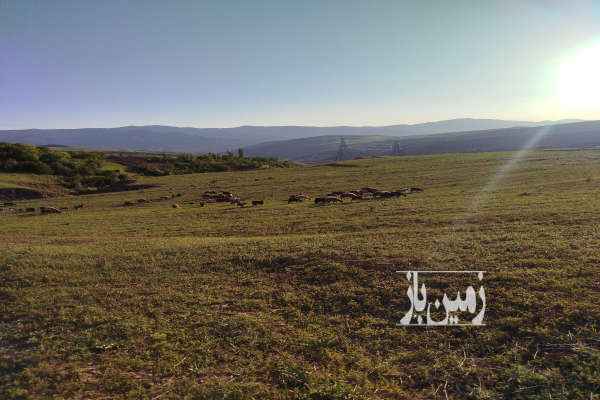 ۲۴۰۰ متر باغ ۳ ساله بادام در الموت روستای آیین-3