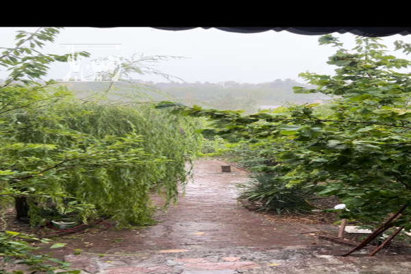 باغ در خادر چشم انداز باتخفیف عالی و ۱۲۰۰ متر زمین-4