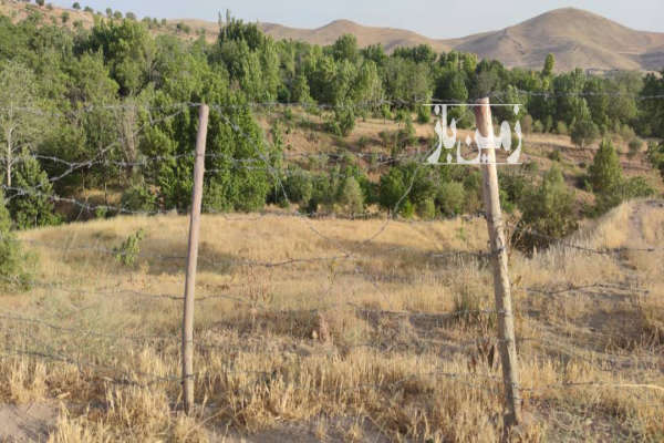 زمین انگور به متراژ ۷۰۰ متر روستای رزجرد-4