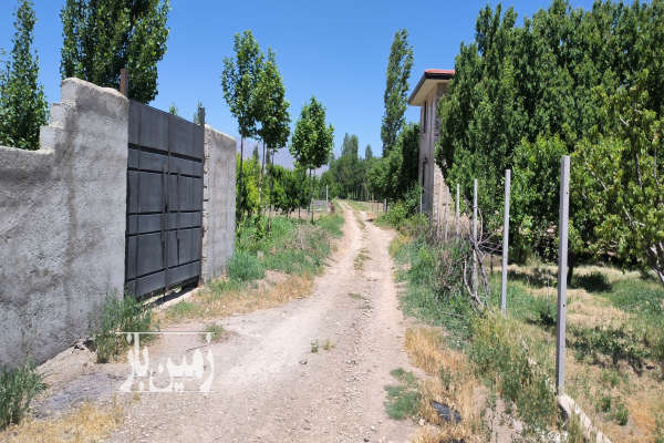 ۲۵۰ متر باغچه با چهار دیواری و درختان میوه هشتگرد کرج-4