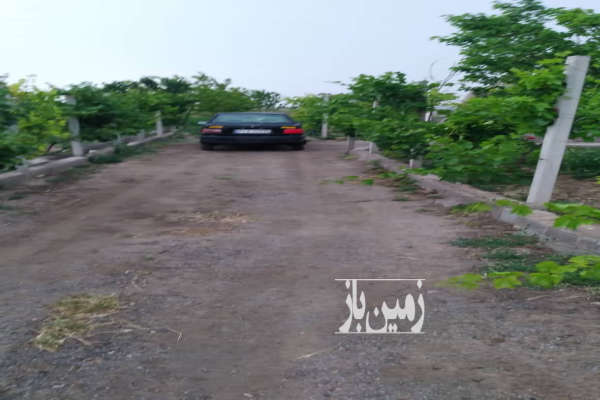 زمین کشاورزی ۱۵۰۰متر در شهر میاندوآب لیلان چایی-1