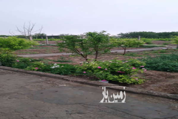زمین کشاورزی ۱۵۰۰متر در شهر میاندوآب لیلان چایی-2