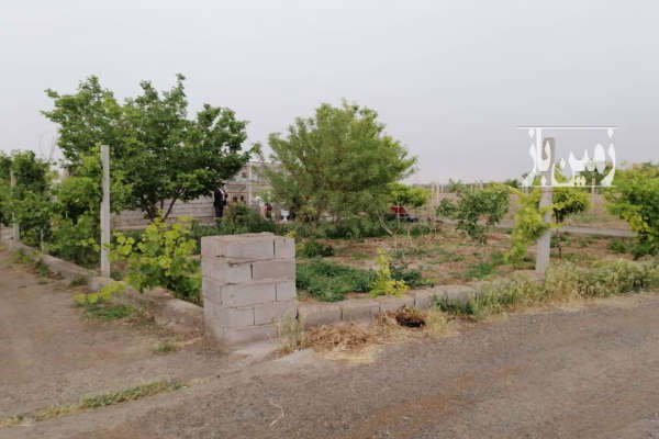 زمین کشاورزی ۱۵۰۰متر در شهر میاندوآب لیلان چایی-4