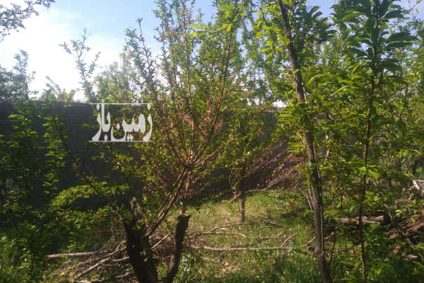 زمین فروشی شهرکی جهت ساخت ویلا دارای اب لوله کشی-3