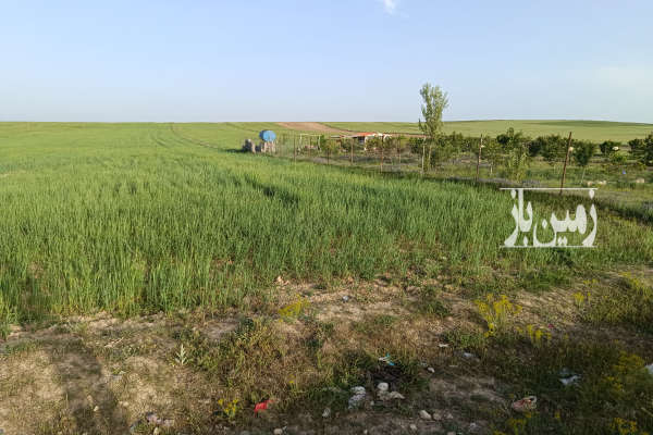 زمین سند دار روستای پیر القیر ۸۱۲ متری-1
