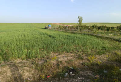 زمین سند دار روستای پیر القیر ۸۱۲ متری