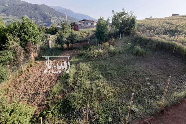 زمین مسکونی به متراژ ۳۰۶ متر در روستای ویرو-1
