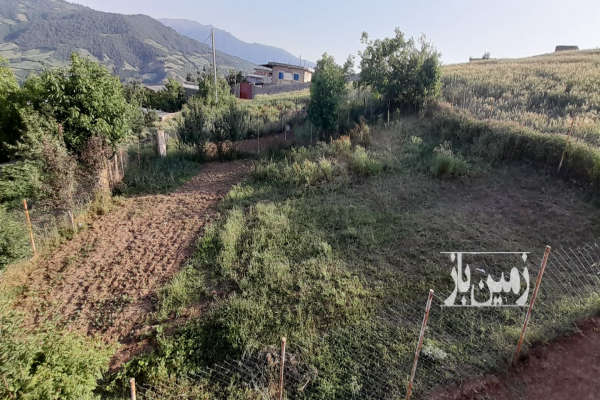زمین مسکونی به متراژ ۳۰۶ متر در روستای ویرو-2