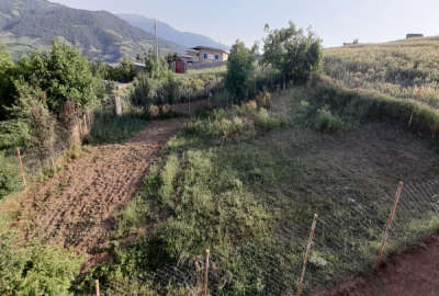 زمین مسکونی به متراژ ۳۰۶ متر در روستای ویرو