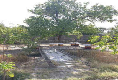 خانه باغ در محسن آباد سنگستان ۱۴۵۰ متر زمین