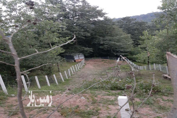 ۱۰۰۰ متر زمین در شهرک صنعتی رشت-3
