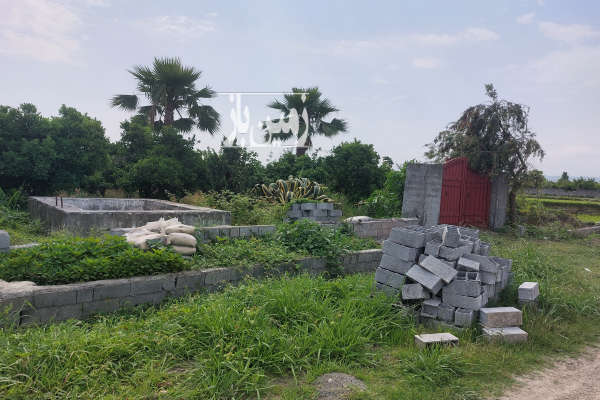 باغ مرکبات ۲۰ در ۵۰ مشرف به رودخانه هراز چسبیده به شهر-2
