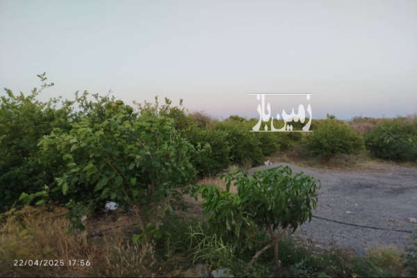 زمین باغی ۱هکتار خانه باغ ۷۰ متری امکانات کامل-3