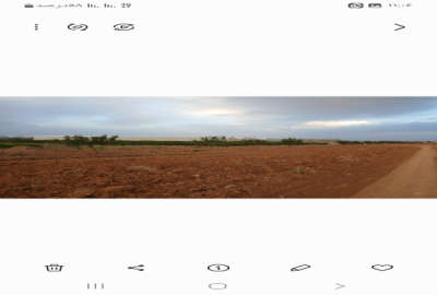 زمین کشاورزی و باغ واقع در روستای حسن آباد علیا