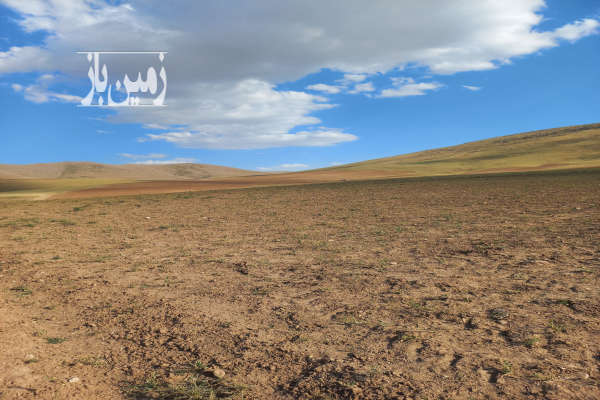 زمین کشاورزی دیمی ۸۰۰۰ متر در مهاباد-2