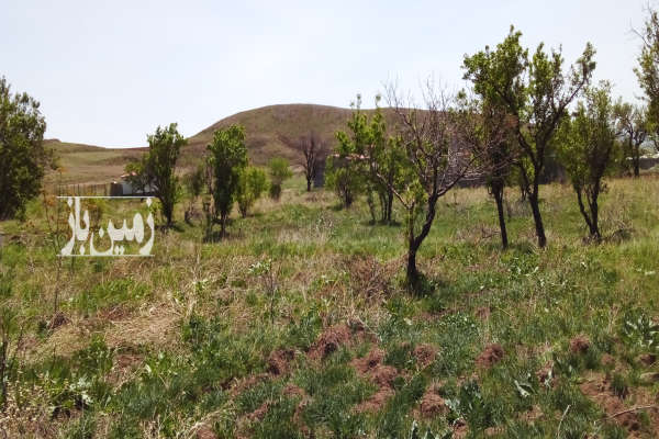 باغ روستای مزرعه محمودی ۴۰۰ متر دارای ۱ساعت آب-2