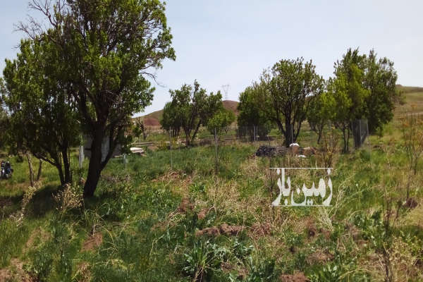 باغ روستای مزرعه محمودی ۴۰۰ متر دارای ۱ساعت آب-3
