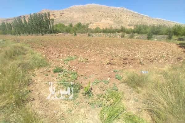 زمین درسپیدان شش پیر مکان تفریحی و گردشگری-1