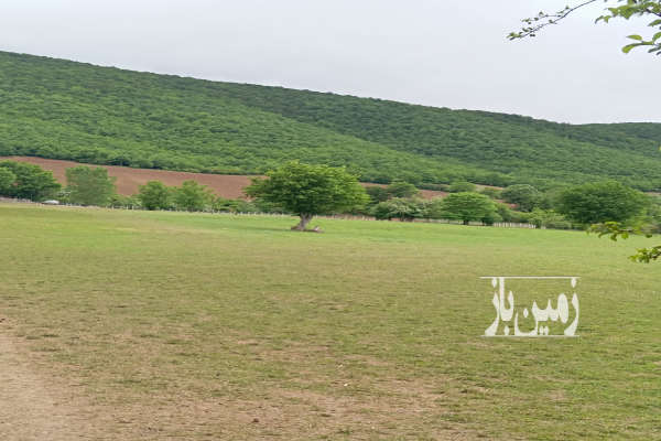 زمین مسکونی و کشاورزی در شهر پول منطقه کجور ۷۰۰ متری-2
