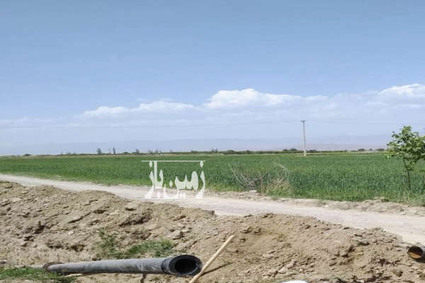 زمین باغی حاصلخیز نزدیکی گلبهار روستای محسن آباد-1