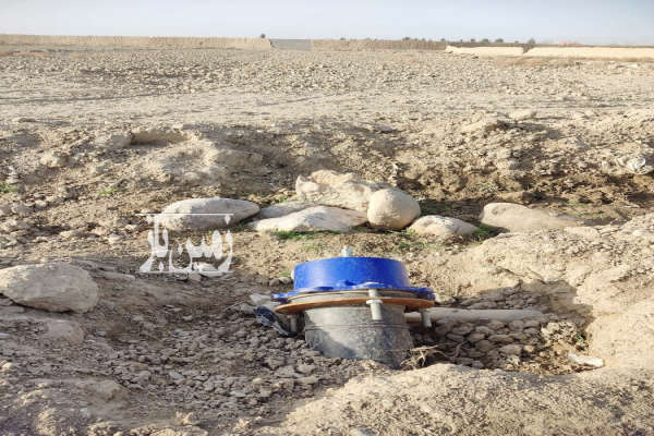 زمین باغی حاصلخیز نزدیکی گلبهار روستای محسن آباد-2