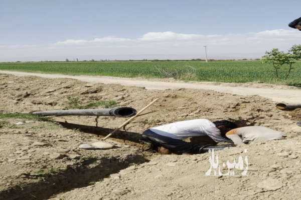 زمین باغی حاصلخیز نزدیکی گلبهار روستای محسن آباد-3