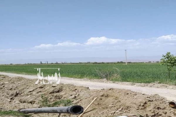 زمین باغی حاصلخیز نزدیکی گلبهار روستای محسن آباد-4