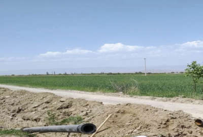زمین باغی حاصلخیز نزدیکی گلبهار روستای محسن آباد