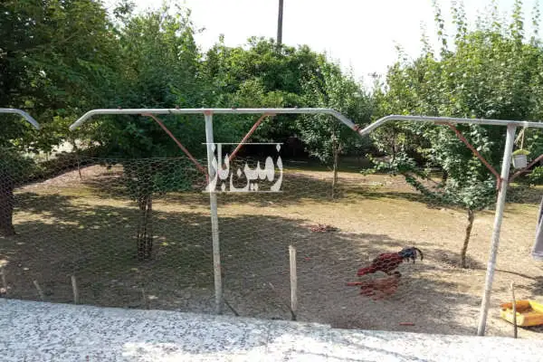 زمین مسکونی ۳۰۰ متری روستای مهدی آباد لب جاده - تصویر 3