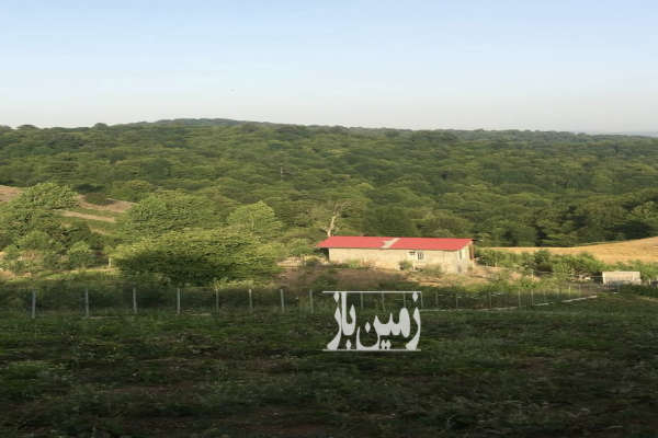 زمین ۱۳۰۰ متری واقع در روستای محمداباد بهشهر-4