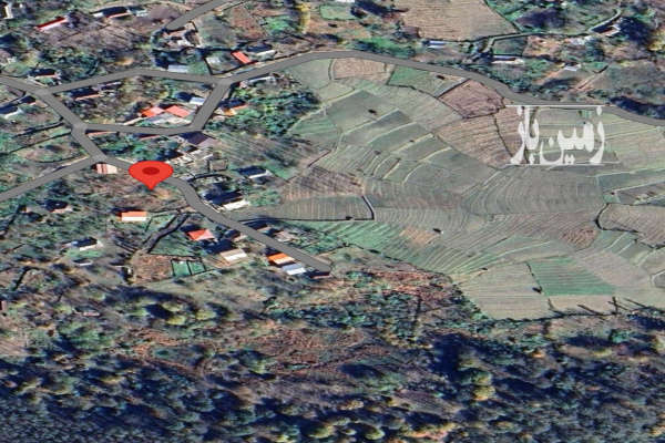 زمین به متراژ ۴۱۵ در سوادکوه شمالی روستای بورخانی-1