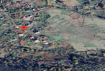 زمین به متراژ ۴۱۵ در سوادکوه شمالی روستای بورخانی