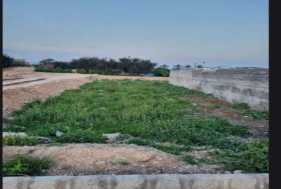زمین مرکز شهرسماله (بخشداری منطقه)