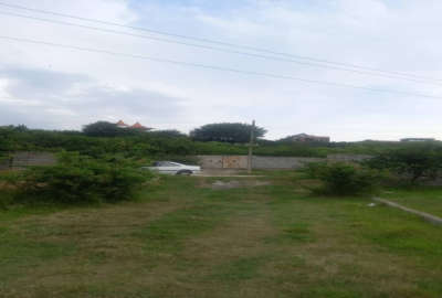 زمین در روستای ساروکلا قائمشهر هنر ۹ بالاتر