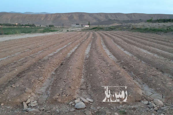 زمین کشاورزی ۱۰۰۰ متری در فیروزکوه بر جاده-1