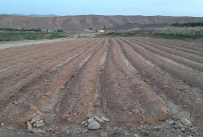 زمین کشاورزی ۱۰۰۰ متری در فیروزکوه بر جاده