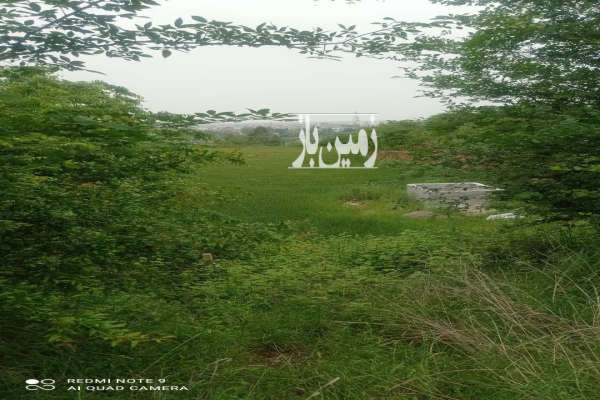 زمینی با ویو بسیار عالی و چشم نواز جنگلی-3