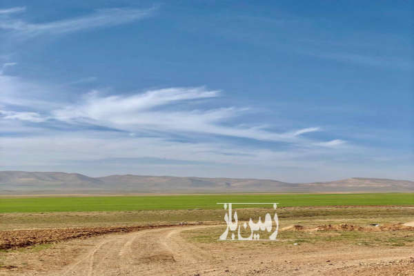 زمین کشاورزی مناسب برای هر پروژه ای مانند پنل خورشیدی-3