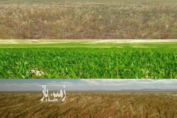 زمین کشاورزی مناسب برای هر پروژه ای مانند پنل خورشیدی-4