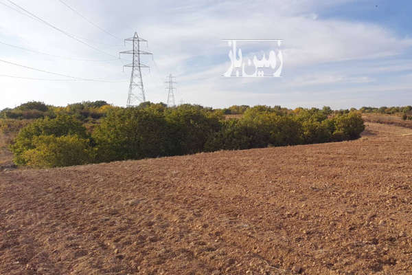 زمین ۱/۴ هکتار در صایین قلعه ابهر چسب اتوبان-3