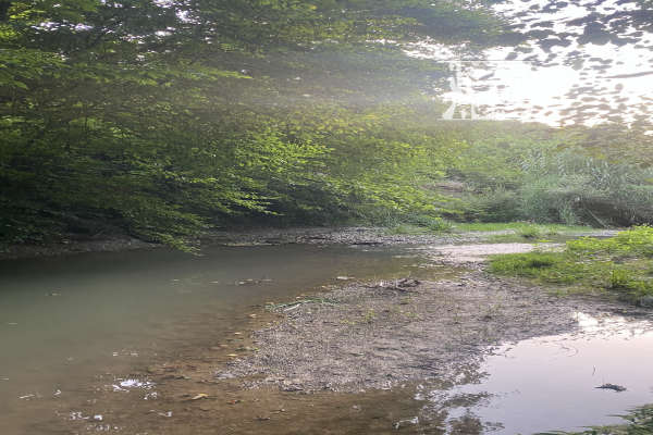 خانه باغ ۵۰۰۰ هزار متری قائم شهر کوتنا-2