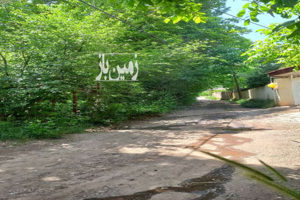 باغ میوه داخل بافت بر اصلی روستای جوستان-3