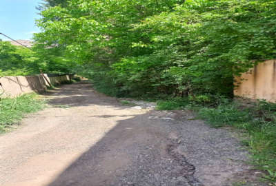 باغ میوه داخل بافت بر اصلی روستای جوستان